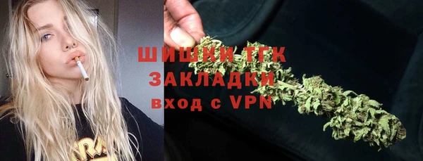 ешки Аркадак