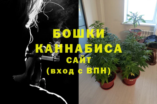ешки Аркадак